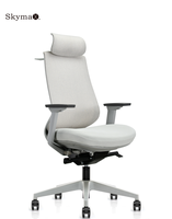 Mobilier classique Chaises et tables de bureau Chaise de travail Dexley Chaise de travail ergonomique pivotante en maille avec bras Double siège