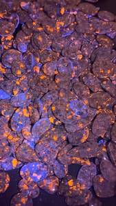 Proveedor Indio de Piedras Preciosas Yooperlite, Piedra Fluorescente Natural para Joyería de Cabujón y Colecciones de Cristales, Disponible para la Venta - Product Image 5