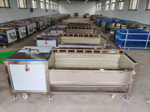 Máquina Automática Multifuncional para Pelar y Lavar Yuca, Camote y Frutas, Capacidad de 500 kg/h, Fácil Operación - Product Image 5