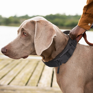 Collar Táctico de Nailon para Perro con Hebilla Automática de Liberación Rápida, Collar de Entrenamiento Vintage para Perros Grandes con Asa de Cuero - Product Image 5