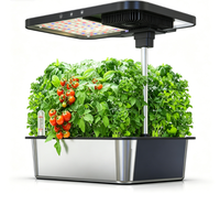 Système hydroponique en acier inoxydable à 15 trous, lampe de culture LED automatique 24W, jardinière de bureau pour herbes, légumes et fraises avec pompe