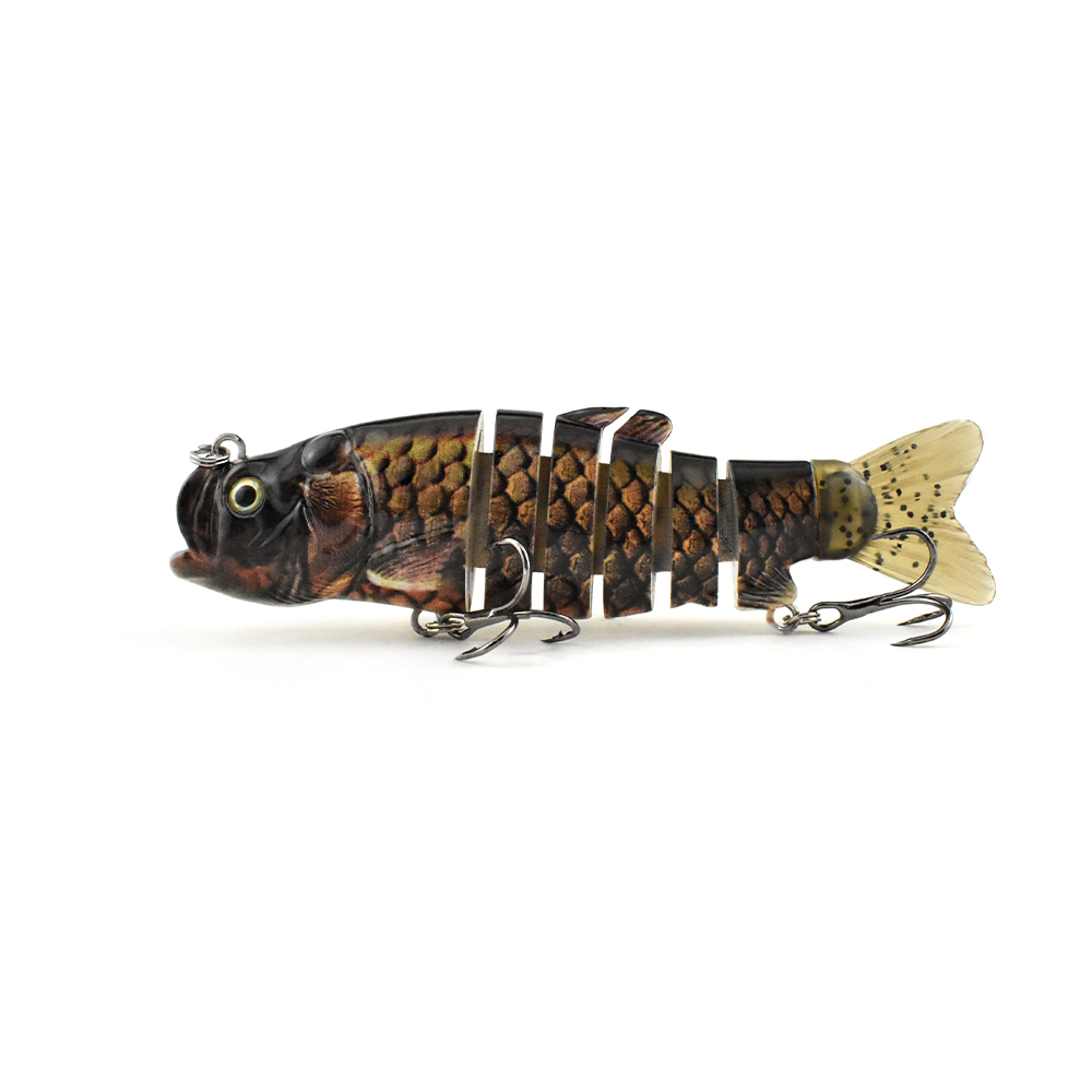 La carpe poisson de montage