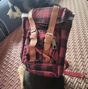 BANABA CE sertifikalı moda taşınabilir fermuar evcil hayvan sırt çantası küçük orta köpekler atıştırmalık paketi - Product Image 6