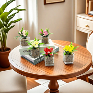 Venta al por mayor en vivo Mini planta suculenta maceta de estilo rural de cerámica esmaltada con maceta de <span class=keywords><strong>madera</strong></span> y vidrio de alta garantía decoración del hogar - Product Image 5