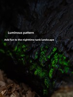 Reptielen & hagedissen gekkoholte met nachtgloed design, multifunctioneel, gesimuleerde natuurlijke stijl terrarium schuilplaats, gemaakt in China, model HC05S