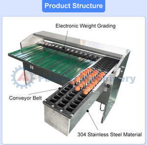 เครื่องคัดแยกไข่ไก่ <span class=keywords><strong>ไข่</strong></span>นกกระทา <span class=keywords><strong>ไข่</strong></span>เป็ด <span class=keywords><strong>ไข่</strong></span>ห่าน ผลิตในจีน พร้อมเครื่องชั่งน้ำหนักแ<span class=keywords><strong>ละ</strong></span>จัดเรียงขนาด <span class=keywords><strong>ราคา</strong></span>สำหรับฟาร์ม - Product Image 3