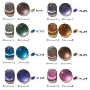 Popular Star Cat Eye Polish Gel 8ml Soak off Nail Art para uso en salón New Gel Polish Nail Supplies - Product Image 2