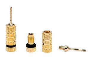 Cabletolink Gold Plated <strong>Speaker</strong> Pin Plugs Screw Type for <strong>Speaker</strong> <strong>Wire</strong>/Home Theater/<strong>Wall</strong> <strong>Plates</strong>