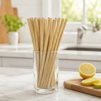 Pailles en bambou biodégradables écologiques jetables modernes, pailles organiques pour boisson, vente en gros, logo personnalisé, utilisation pour les fêtes