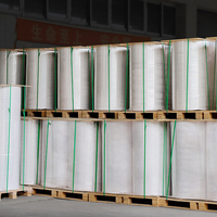 Papel Kraft Recubierto de PE Ecológico, Impermeable, en Rollos, Materia Prima para la Fabricación de Vasos de Papel
