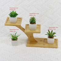 Grosir Langsung Pabrik Berbagai Macam Sukulen Kecil Buatan Mini Sukulen Plastik Bonsai dengan Pot Keramik
