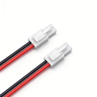 Câbles de batterie pour véhicule électrique, ligne d'alimentation pour lampe LED, avec petits bornes mâles et femelles de 4,5 mm