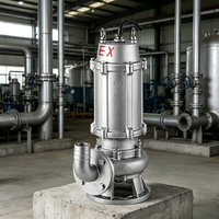 Pompe submersible antidéflagrante certifiée EX pour eaux usées, en acier inoxydable 304, haute température, drainage industriel minier, 380V haute tension