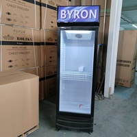 Réfrigérateur commercial à température unique réglable avec compresseur à haute efficacité énergétique pour boissons