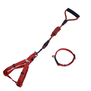 Poignée en <span class=keywords><strong>mousse</strong></span> d'explosion corde tressée laisse et collier solides pour animaux de compagnie pour chien en nylon - Product Image 6