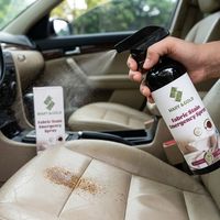 Spray détachant liquide d'urgence en gros pour tissus, éliminateur rapide de taches d'huile et de nourriture, écologique, pour canapé, tapis, rideau, siège de voiture