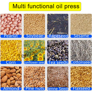 Gewerbliche Soja-Sonnenblumenölpresse, 300 kg/h, für Sesam-Erdnuss-Samen - Product Image 4
