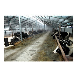 A basso costo prefabbricato caseificio della mucca caseificio struttura in acciaio mungitura capra fattoria edificio per la vendita - Product Image 5