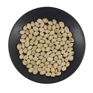 Hot Selling White Lentils Großhandel Neues Produkt White Lablab Beans Natürliche Farbe Klarer Geruch Weiße Hyazinthen bohnen