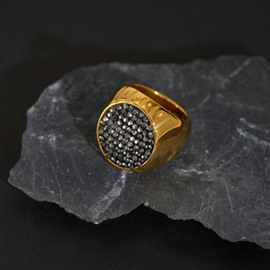 NUEVO VINTAGE PRAISE ICED OUT THE ZIRCON RING 2025 Dazan New INS 18K PVD Chapado en oro Pasarela de acero inoxidable Show Joyería unisex - Product Image 6