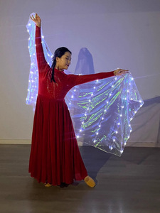 Nuovo velo luminoso a tinta unita per adulti |   Ali per Danza del Ventre/Danza Orientale Flamenco, Accessorio per Costumi e Abbigliamento da Spettacolo - Product Image 4