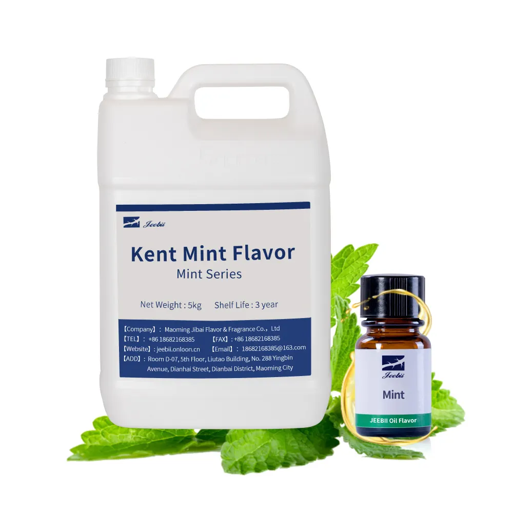 Arôme Kent-Mint Arôme végétal super concentré Arôme OEM Arôme agent aromatisant 3 ans Arôme et parfum synthétiques