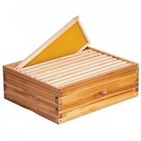 Holz-Bienenstöcke für 8 und 10 Rähmchen, Langstroth-Bienenstock