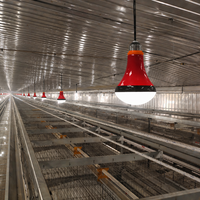 Ampoule LED 48-220V pour l'éclairage des fermes avicoles - Économie d'énergie et faible émission de chaleur pour les cages à poulets et les bâtiments d'élevage