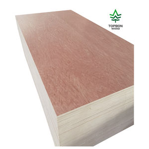 Contreplaqué Bintangor 3/<span class=keywords><strong>4</strong></span> <span class=keywords><strong>5</strong></span>/8, contreplaqué pour meubles, contreplaqué pour panneaux - Product Image 4