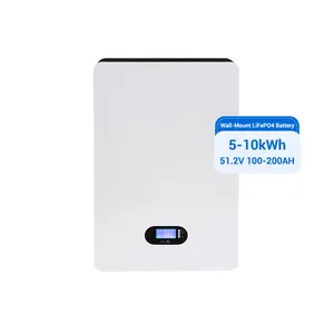 48V/51.2V 100ah 200ah 5kwh 10kwh Wall Mount Type Lifep04 Lithium Battery Module with Smart BMS for Solar Energy Storage System