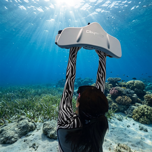 Scooter Eléctrico Portátil de 600W para Buceo, Tabla de Surf a Chorro, Scooter Submarino de Alta Velocidad, Equipo Profesional de Buceo - Product Image 1