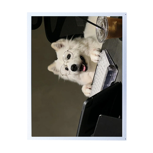 AUO G150XTN06.0 ของแท้ 15.0 นิ้ว XGA 1024×768 TN 450nits LVDS 20Pin ป้องกันแสงสะท้อนอัลตร้าไวด์เทมเปอร์ แอลซีดี ทีเอฟที โมดูลอุตสาหกรรม - Product Image 5