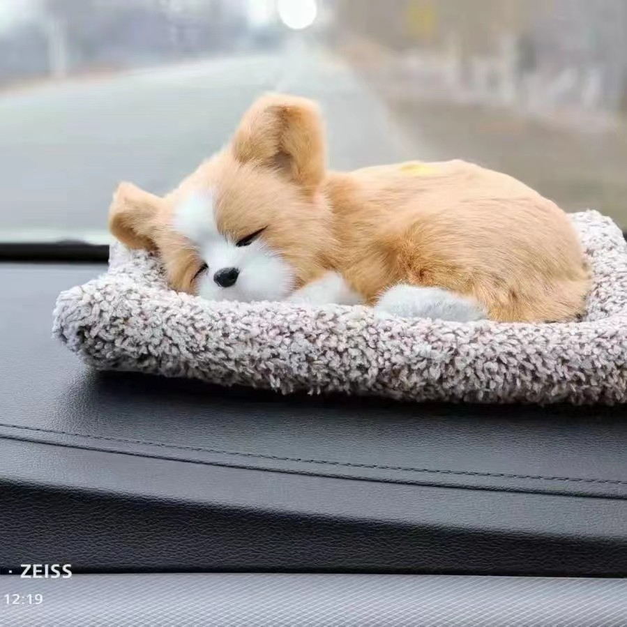 Grand chihuahua