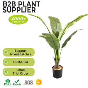 Fournisseur chinois de plantes artificielles : Petits arbres à feuilles de soie de qualité supérieure, écologiques et sans entretien, pour bureaux commerciaux, en pot. - Product Image 2