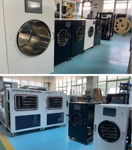 Meilleur prix, petite machine de lyophilisation de <span class=keywords><strong>4</strong></span> <span class=keywords><strong>kg</strong></span>, lyophilisateur domestique pour aliments pour animaux de compagnie, bonbons, fleurs, café, lyophilisateur sous vide - Product Image 6