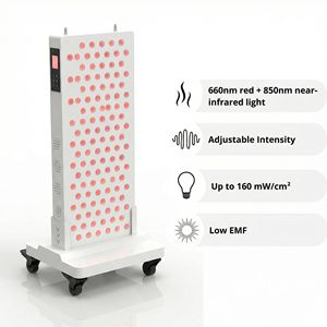 OEM ODM Meilleur vendeur portable double longueur d'onde panneau de thérapie de lumière rouge 660nm 850nm pour la récupération - Product Image 2