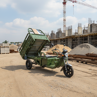 Tricycle électrique à 3 roues EEC COC avec réglage à 3 vitesses 1000W pour conditions routières variables