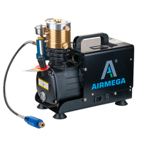 Compresseur d'air électrique portable haute pression 220V 4500psi pour plongée sous-marine, paintball, PCP, refroidi par eau, vente en gros d'usine, garantie 2 ans