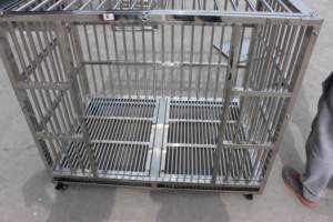 MT tıbbi veteriner yeni ekipman temperli cam büyük lüks evcil hayvan kafesi hayvan veteriner hastane kliniği paslanmaz çelik kulübesi kafes - Product Image 6