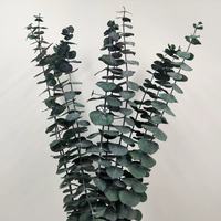 Feuilles d'eucalyptus préservées très demandées - Eucalyptus séché en spirale pour la décoration intérieure et les mariages