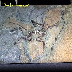 Esqueleto de Dinosaurio de Fibra de Vidrio My <span class=keywords><strong>Dino</strong></span> D09, Placa Fósil de Archaeopteryx - Product Image 1