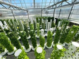 Thực Tế Dọc Nông Nghiệp Thủy Canh Tháp Cho Rau Hoa Aeroponics Tháp Với Phát Triển Ánh Sáng Phát Triển Hydroponics Hệ Thống - Product Image 3