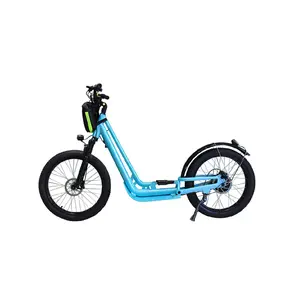 Wholesale 750w City Commuting 2 Wheel 24 Inch Electric Scooter With Removable Battery
