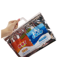 Nouveau Design Bolsa Para livraison sacs refroidisseurs en papier d'aluminium de qualité alimentaire isolation thermique pochette de livraison de Pizza fabricant chine