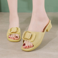 Sandalias de Moda Personalizadas para Mujer, Nuevas, Antideslizantes, de Verano, Punta Abierta, Suela Gruesa y Suave, con Tacón Alto y Lazo, para Primavera y Otoño