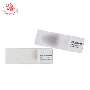 Биологические слайды с паразитами, слайды Plasmodium <span class=keywords><strong>Vivax</strong></span> Falciparum, Обучающие исследования, стеклянные слайды, подготовленные для лаборатории - Product Image 6