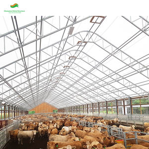 Tente de stockage de bateau en PVC extra-large 40x80 pieds avec cadre en acier et <span class=keywords><strong>bois</strong></span>, <span class=keywords><strong>abri</strong></span> pour bateaux, yachts, équipements marins, garages, entrepôts - Product Image 2