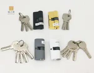 Nhà sản xuất cơ thể khóa cửa nhôm Core Lock với Key Door xi lanh khóa