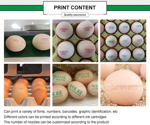 Impresora de inyección de tinta Huevos comerciales Fecha de caducidad Tinta comestible de colores Máquina de codificación de huevos de pollo Máquina de impresión de huevos - Product Image 4