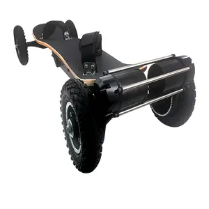 Tùy Chỉnh Bán Buôn Trống Boong Dài 9 Inch Bánh Xe Lớn Skateboard Off Road Giá Rẻ Skateboard Điện Kit